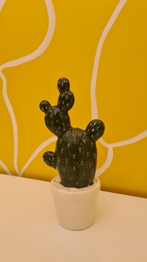 Casa Cactus Sapiddu Daire Palermo Dış mekan fotoğraf
